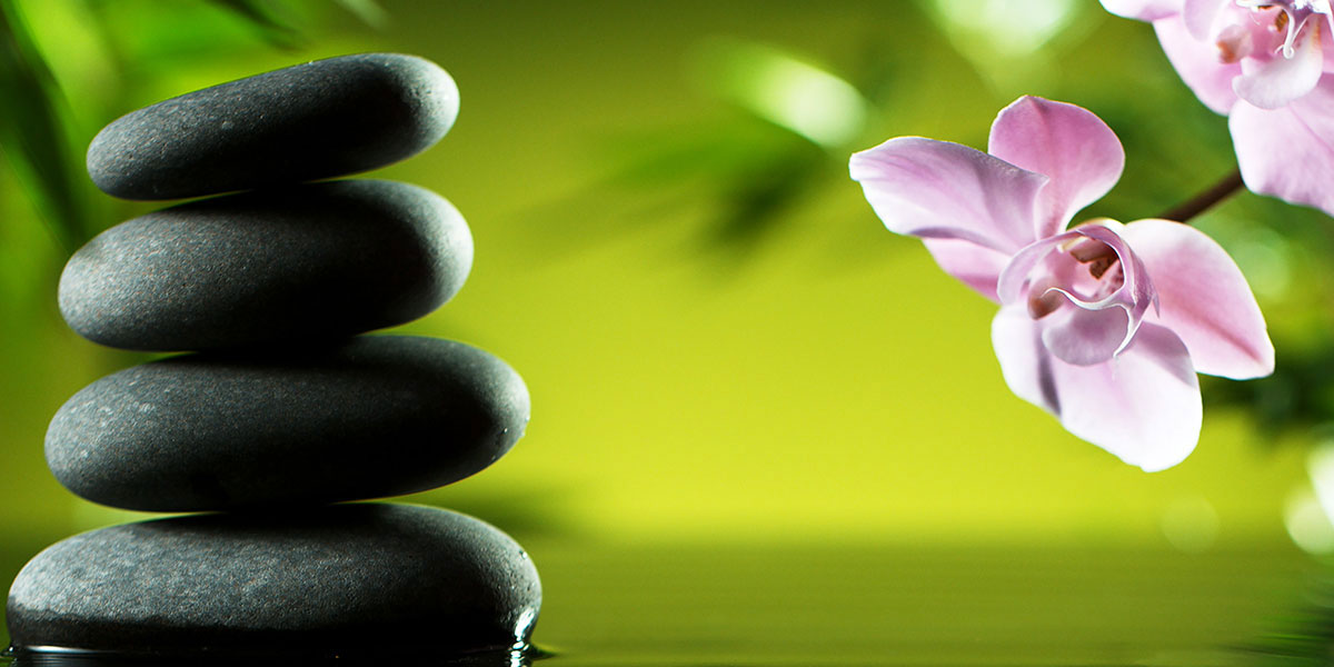 Wellness-pic